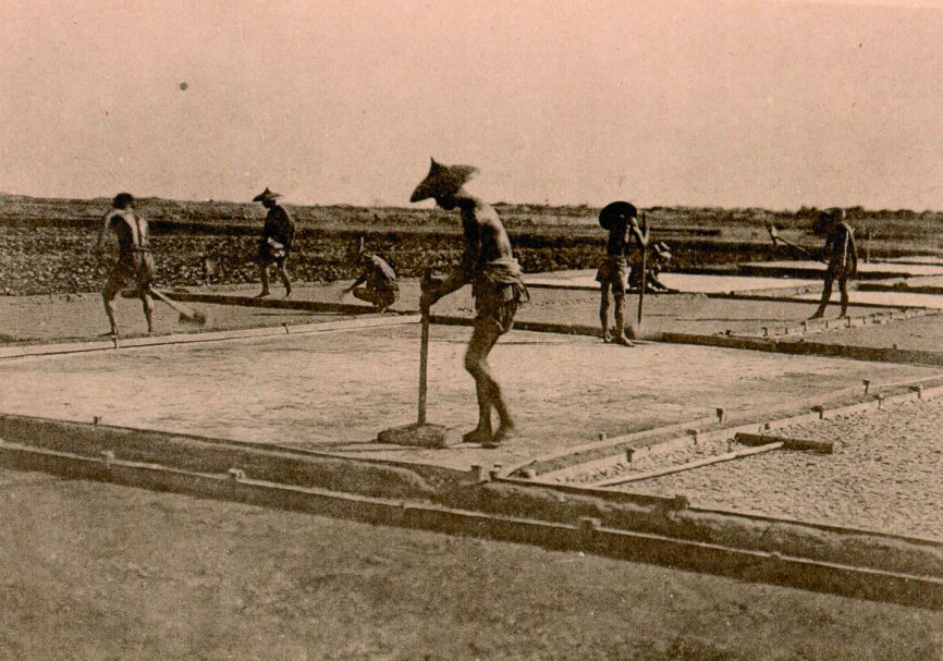 整頓結晶池／國立臺灣大學圖書館