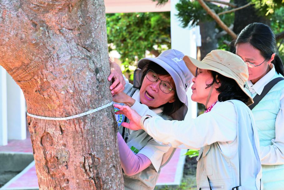 黑金歳月-碳索龜仔甪