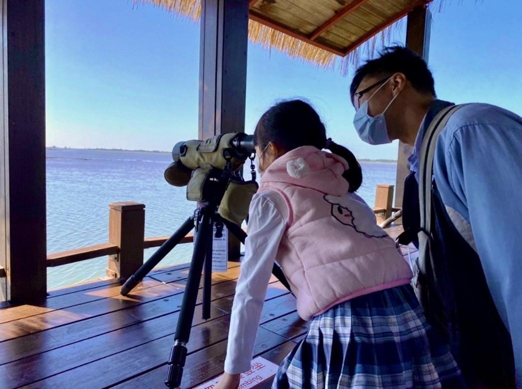 alt-At_the_Black-faced_Spoonbill_bird-watching_pavilion_use_high-power_telescopes_to_observe_Black-faced_Spoonbills_on_the_opposite_riverbank