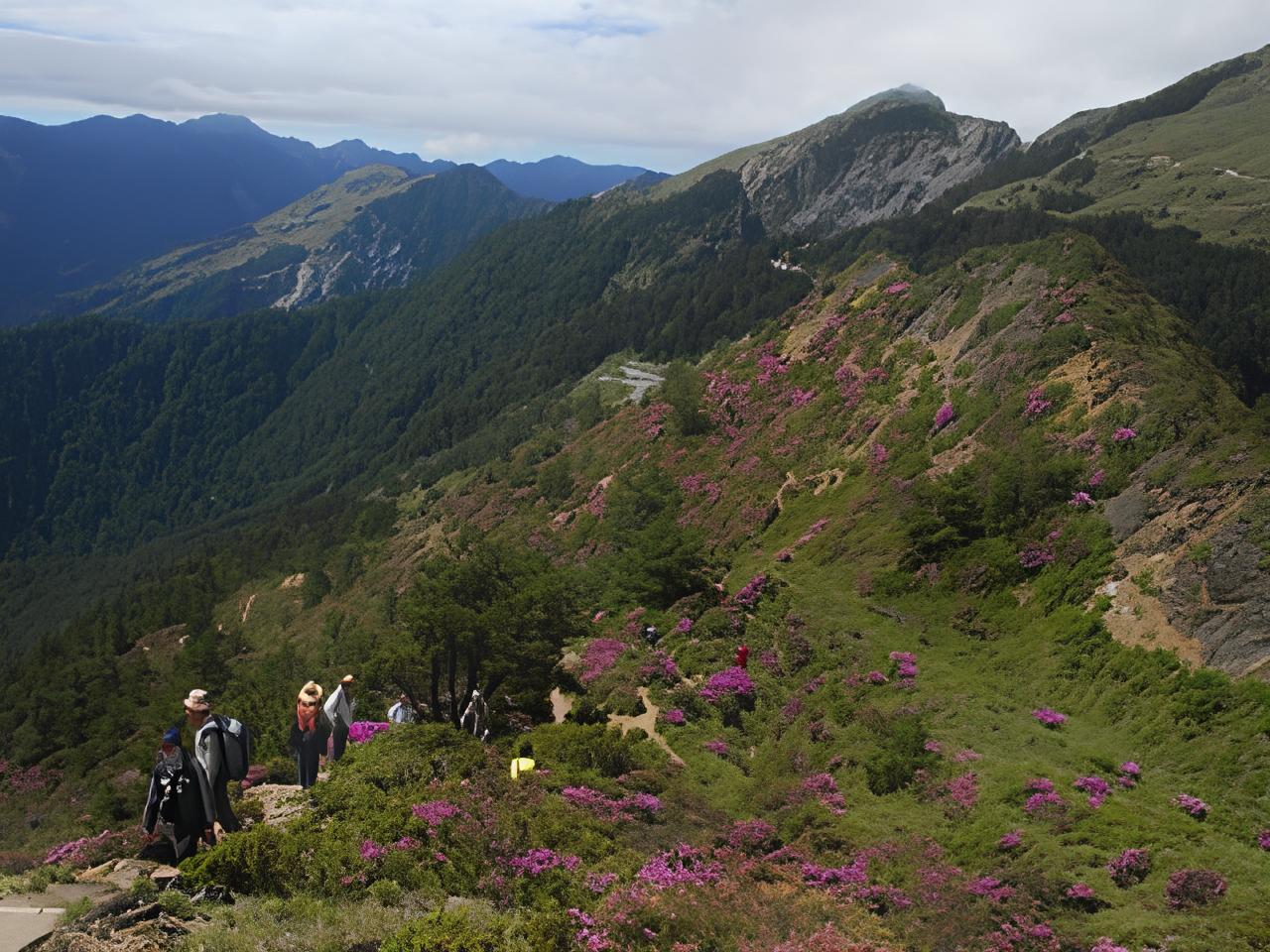 alt-高山上的鑽石：到國家公園賞杜鵑-1