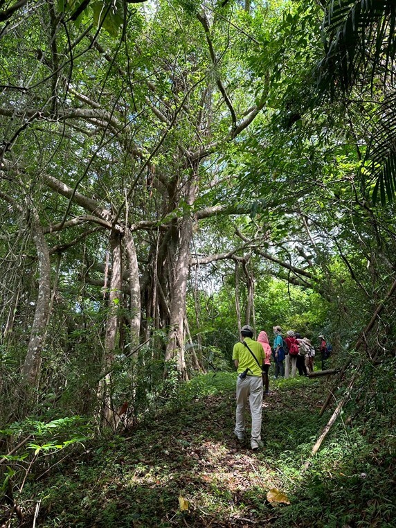 alt-連結生活的時光迴廊：探訪恆春半島滿茶古道百年的人文動脈-3