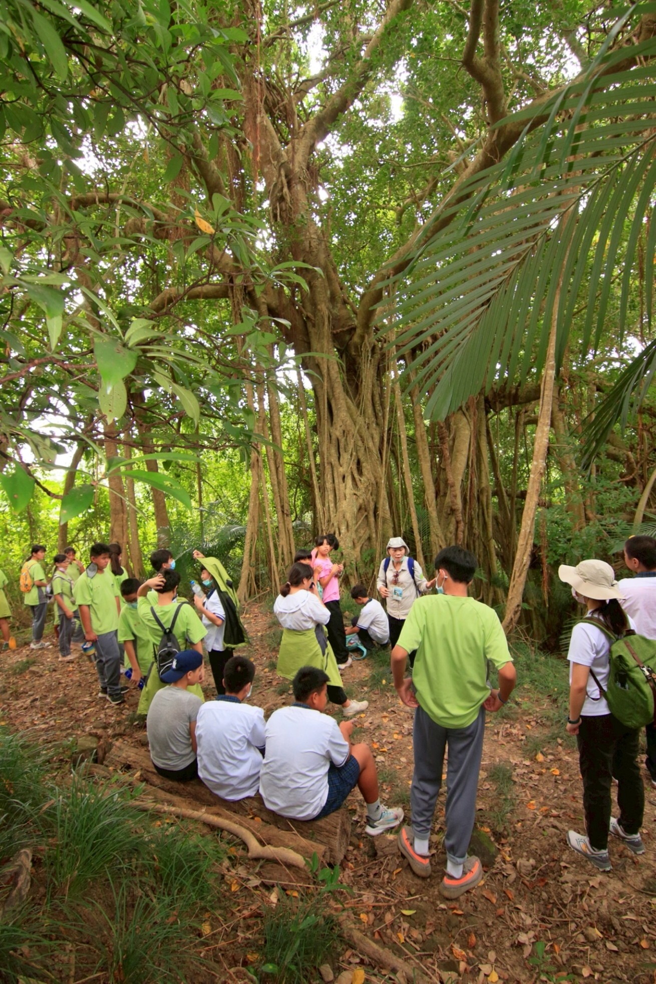 沿途可以欣賞到白榕等豐富林相/墾管處提供