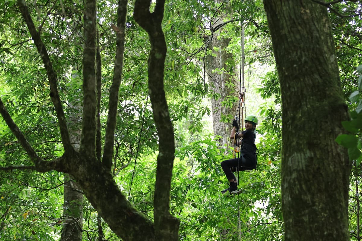 alt-雪霸國家公園雪見原鄉暑期系列活動--體驗泰雅文化 挑戰樹冠層-1