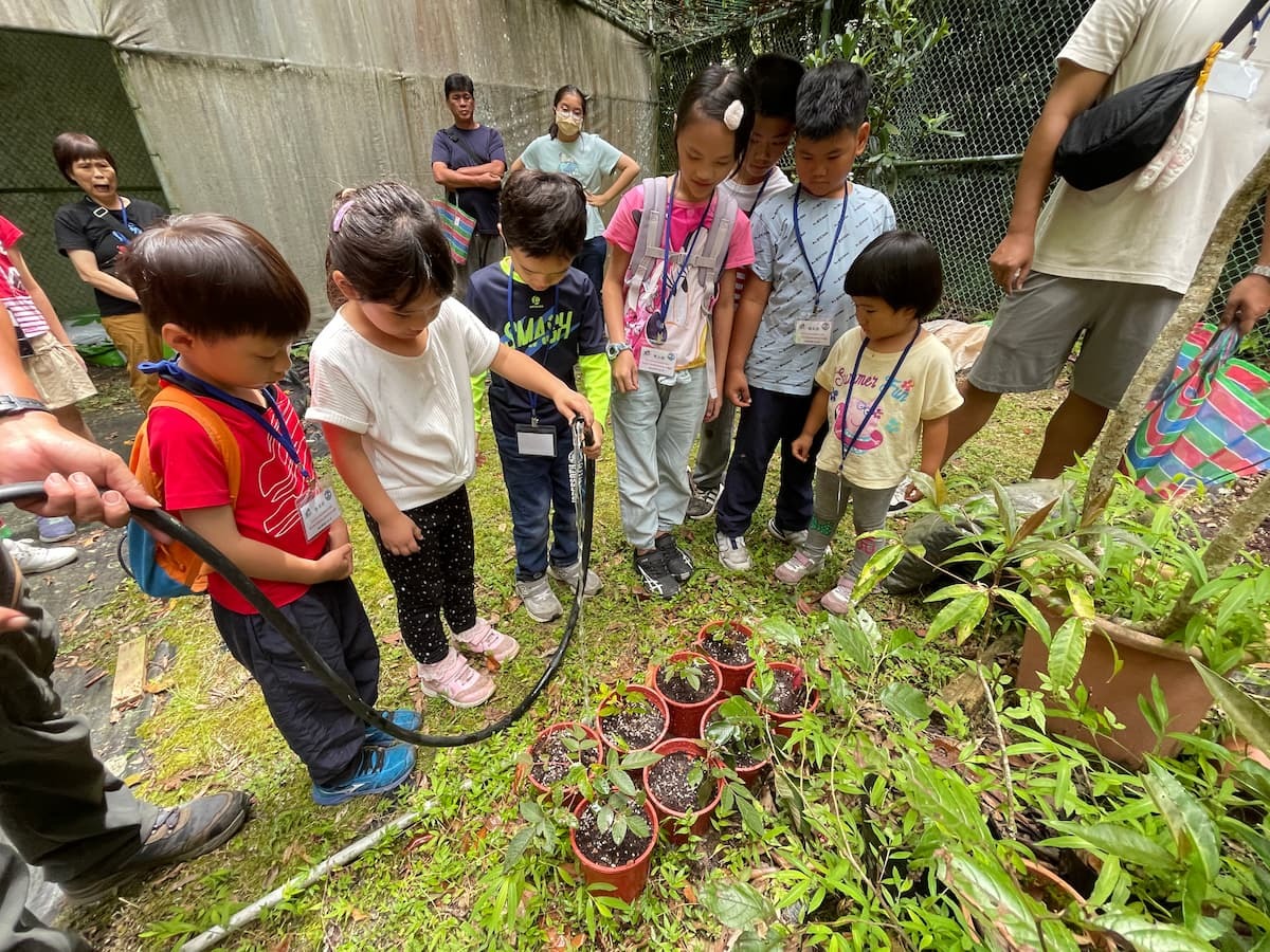 體驗泰雅文化 挑戰樹冠層(4)