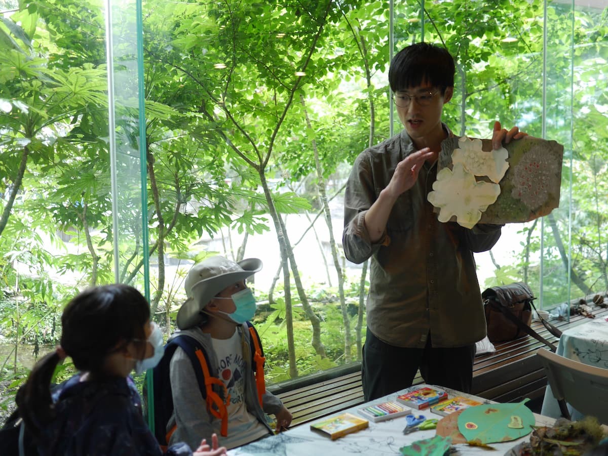 alt-雪霸國家公園觀霧暑期系列活動 跟著山椒魚遊觀霧 探索觀霧生態魅力!-3