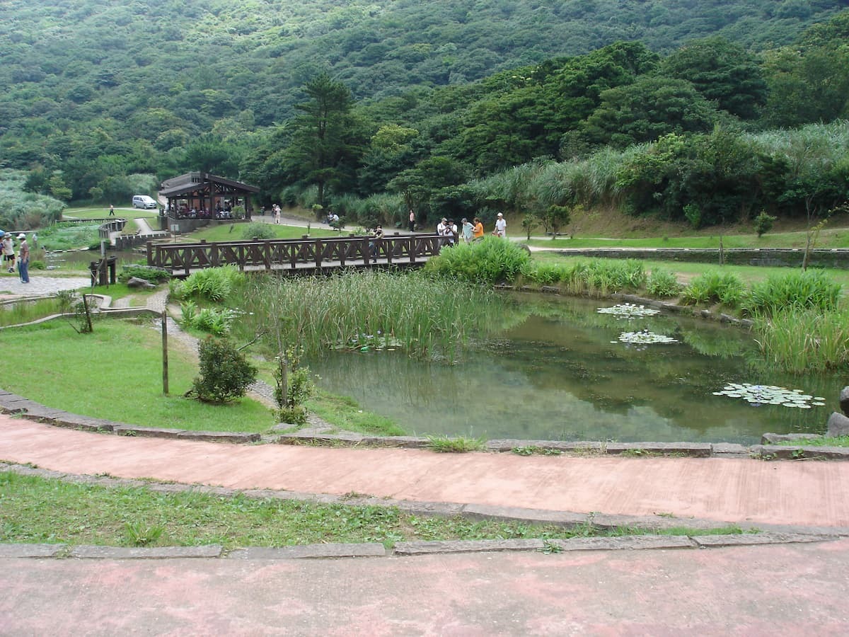 alt-「感受生命能量」 邀請長者走訪二子坪療癒身心-1