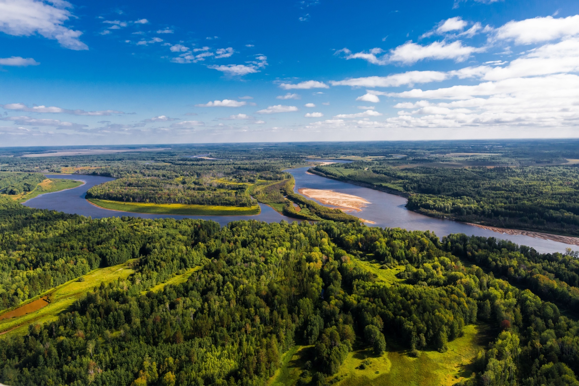 alt-並非所有的森林都一樣：原生林為何無可取代？-1