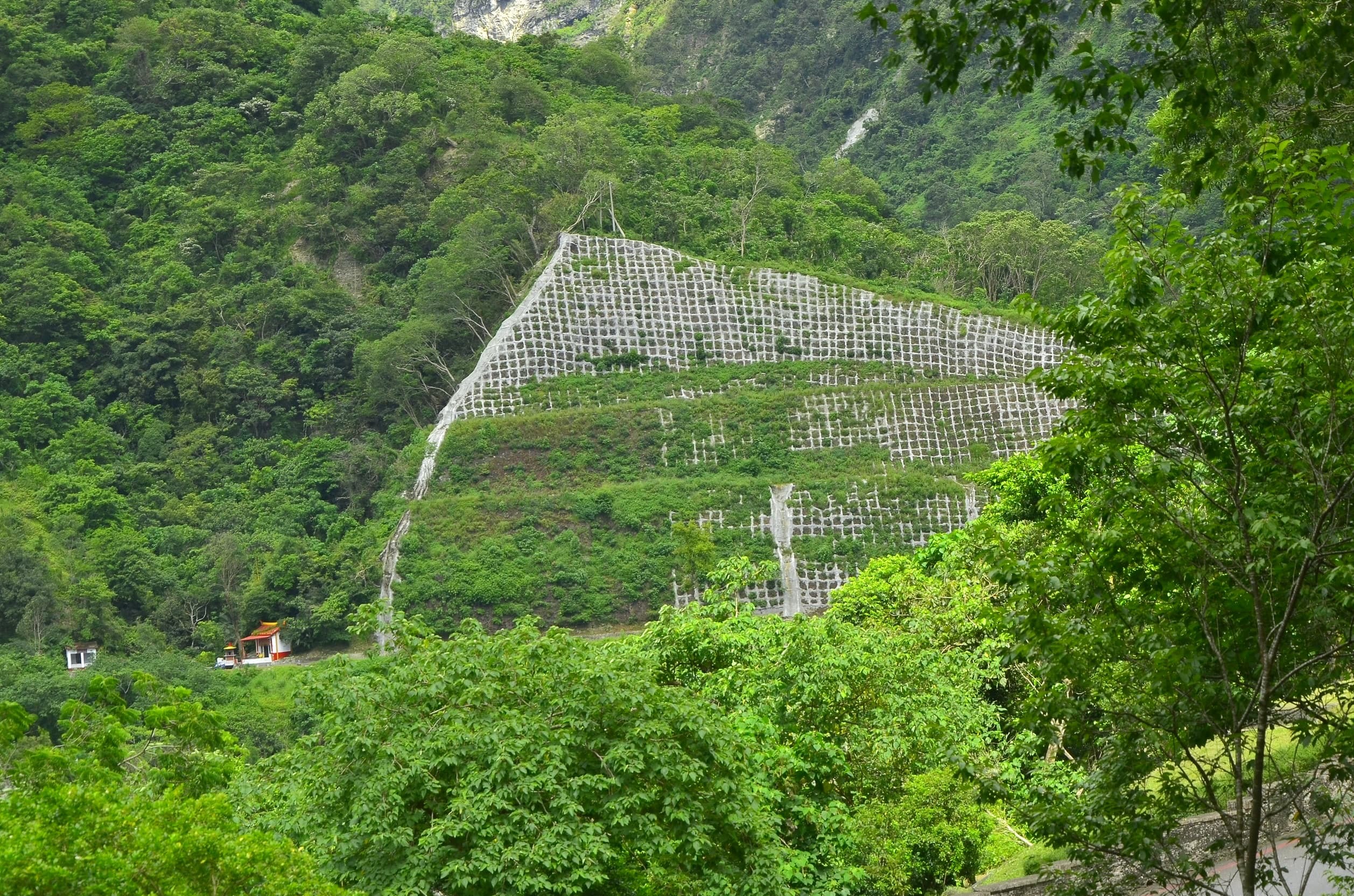 alt-探索太魯閣臺地的自然人文 預約解說知性之遊 5人即可預約-3