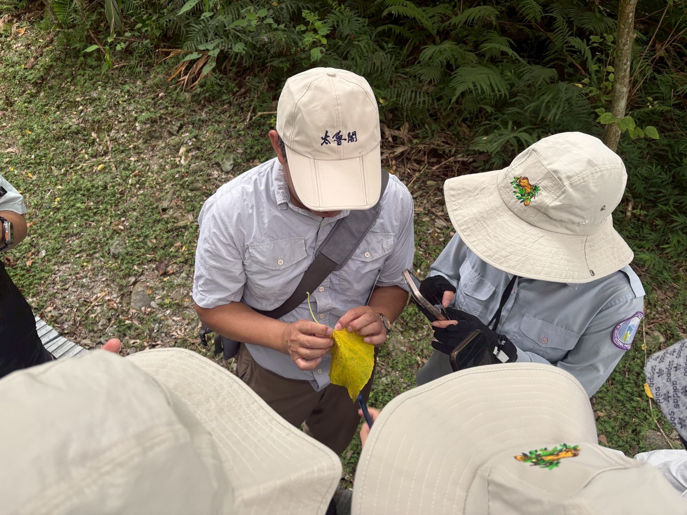 解說員將帶領遊客觀察臺地步道生態
