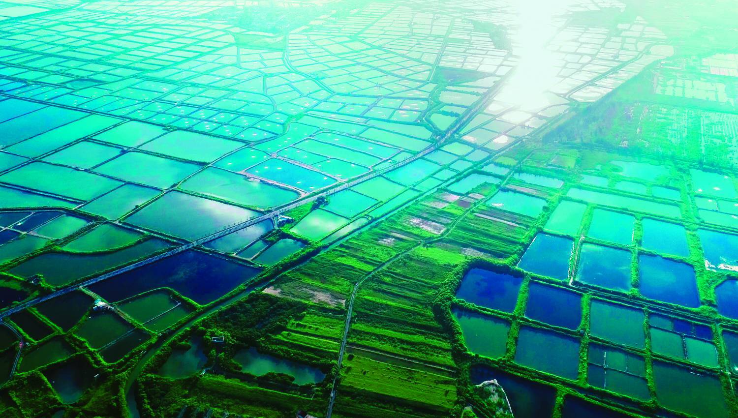 為自己做保育(2)