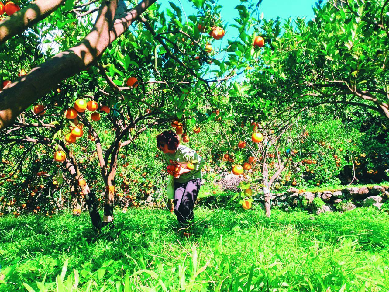 為自己做保育(3)