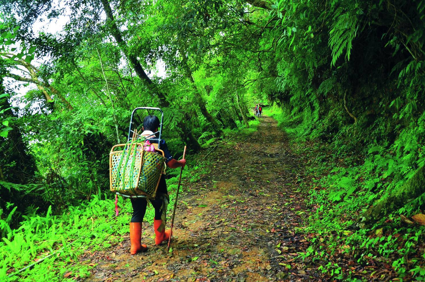 太魯閣的「同禮」心
