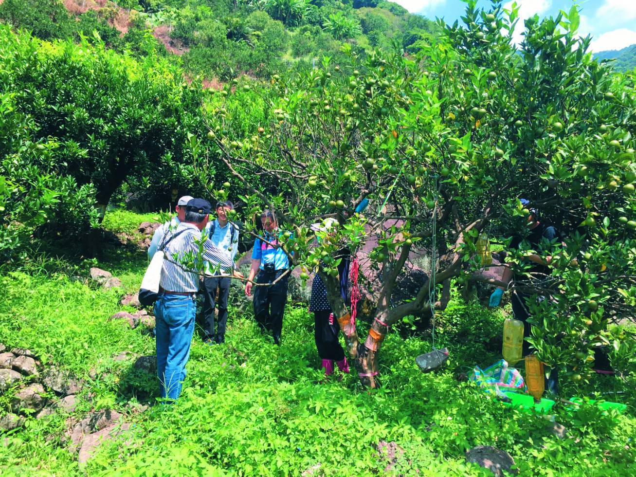 農試所專家到田區診斷／慈心有機農業發展基金會 提供