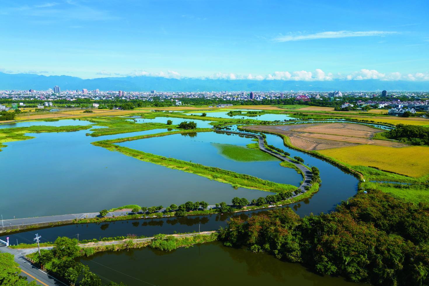 面對氣候變遷造成的問題，濕地將是可能的解方之一／Jui-Chi Chan 提供（iStock）