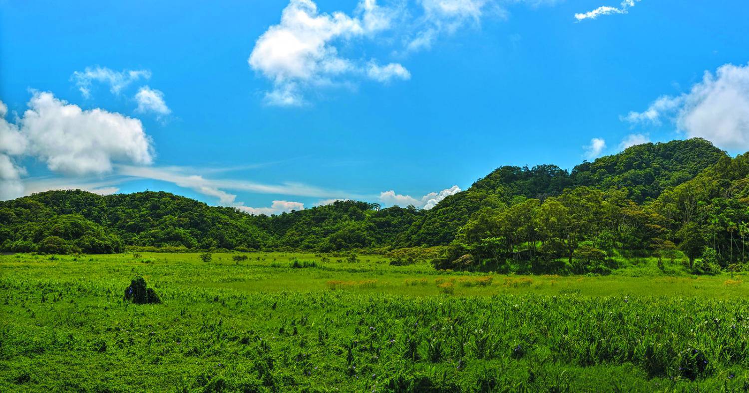 東源水上草原／北極黑熊 攝