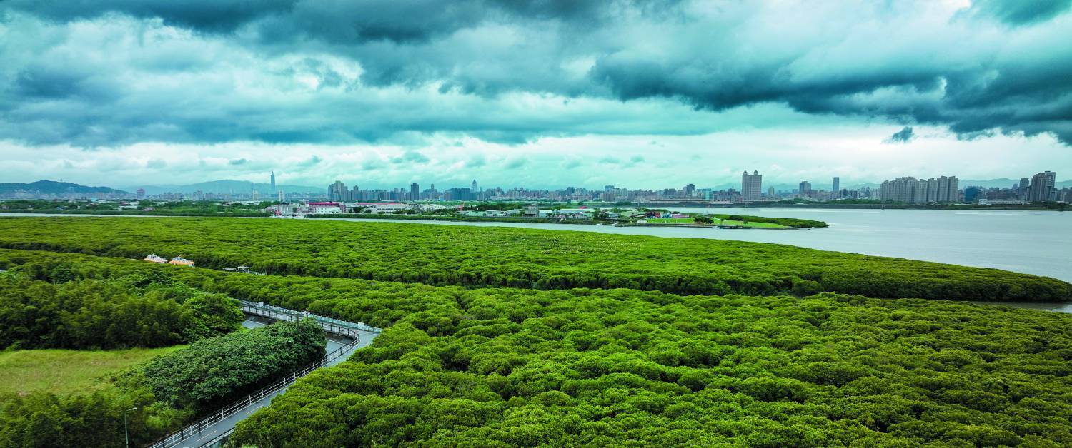 先民逐濕地而居，今日，濕地依舊近在你我身邊／Dave Primov 提供（iStock）