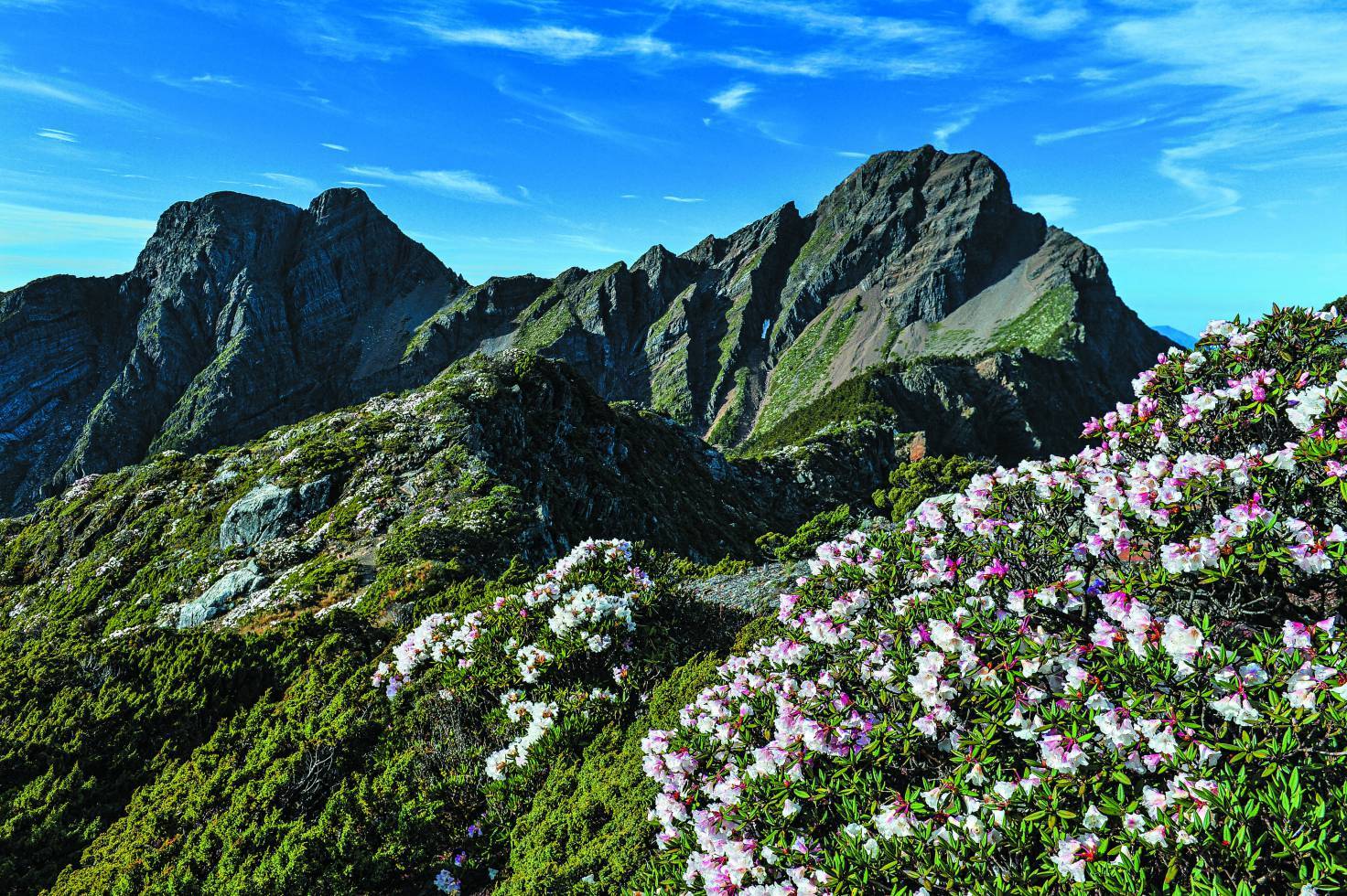 極具識別度的山形，和東北亞第一高峰之名，使玉山成為重要臺灣印象之一／賴錦煌 攝