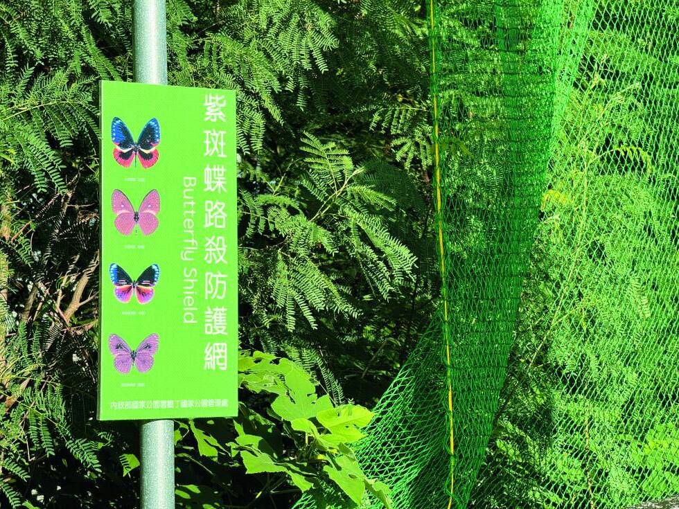 臺26線南灣段設置蝴蝶防護網／詹家龍 提供
