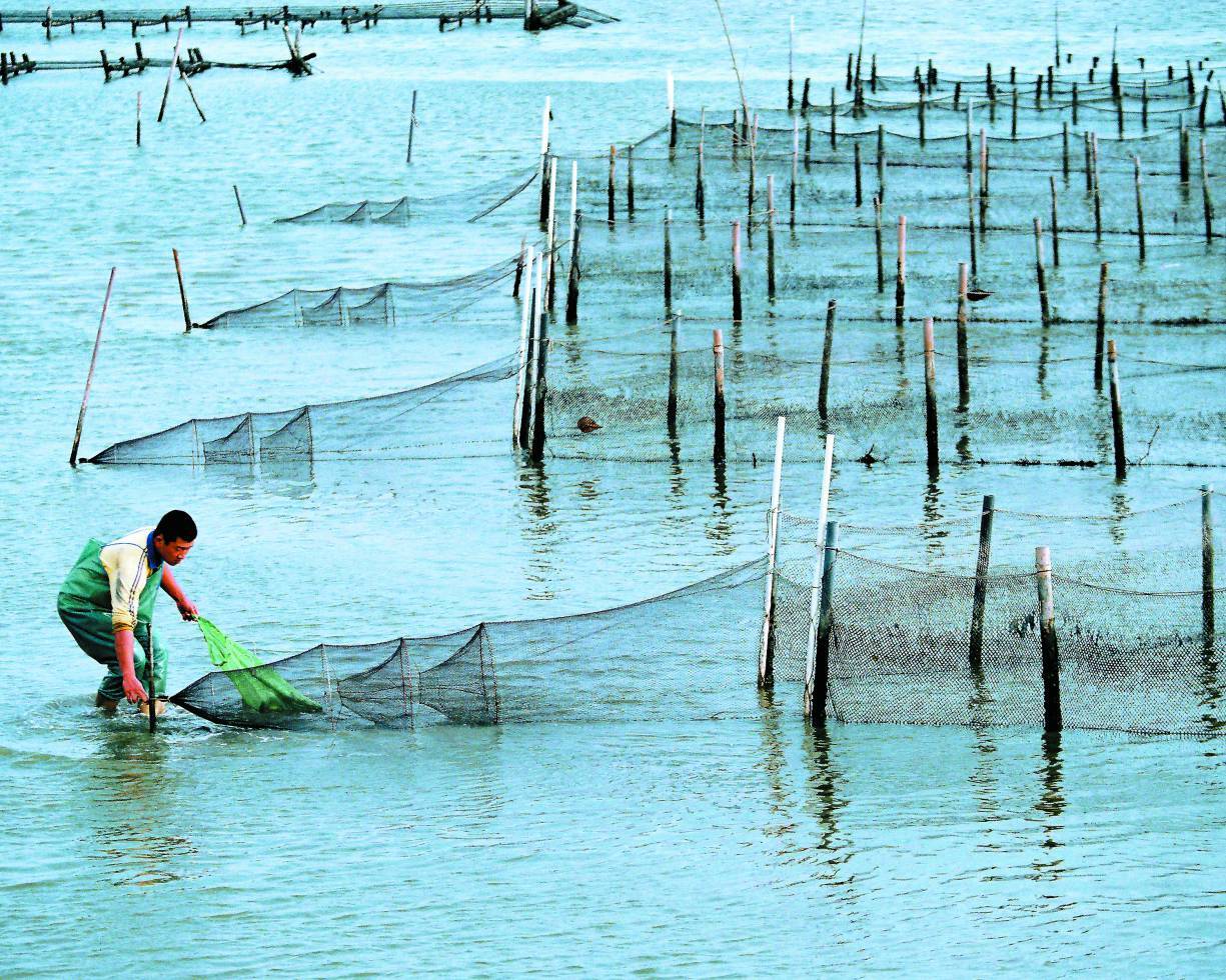 人們依賴健康的生態系統提供糧食、能源等服務生存／台管處 提供