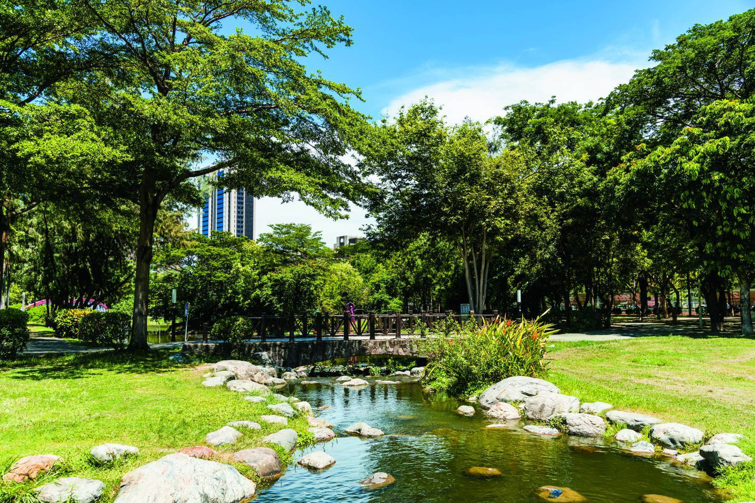 Elaborately designed human-made wetlands can also be seen in urban parks. / Provided by BING-JHEN HONG (iStock).