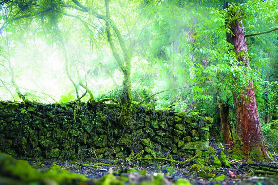 往日統治者留下的痕跡，成為開啟太魯閣歷史挖掘之路的鑰匙（圖為洛韶駐在所）