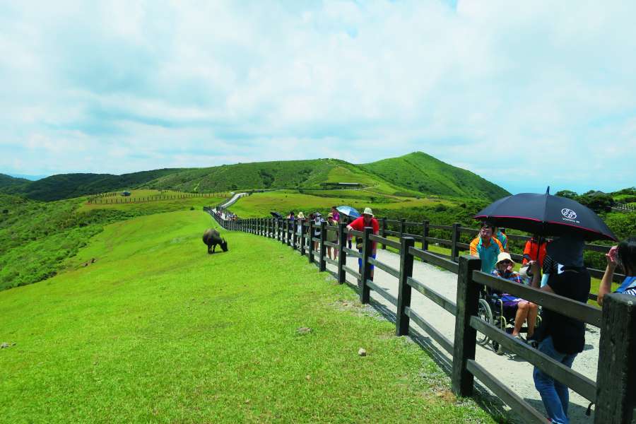 2020年完成擎天崗中央步道人牛分流工程