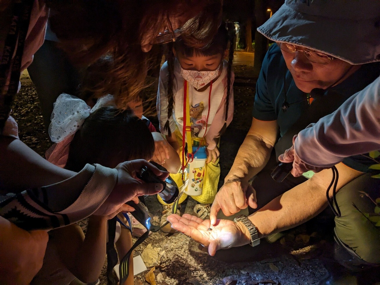 高雄都會公園每年5月舉辦「夜幕下的精靈」夜間觀察活動，由志工帶領親子認識夜間出沒的動物 /自管處提供