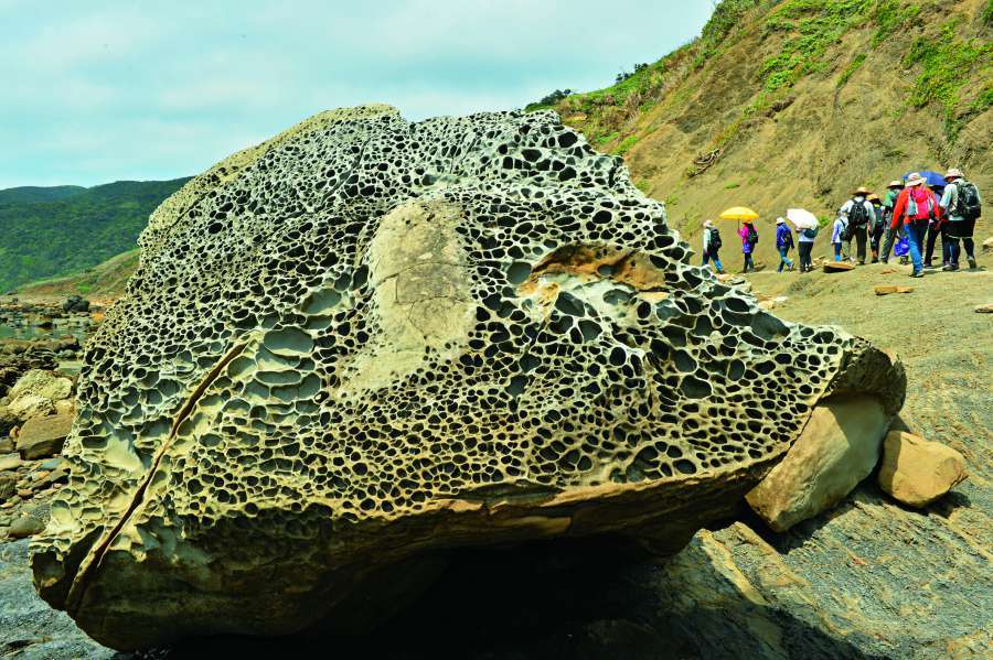 蜂窩岩上布滿因差異侵蝕、風化形成的坑洞／陳忠能 攝