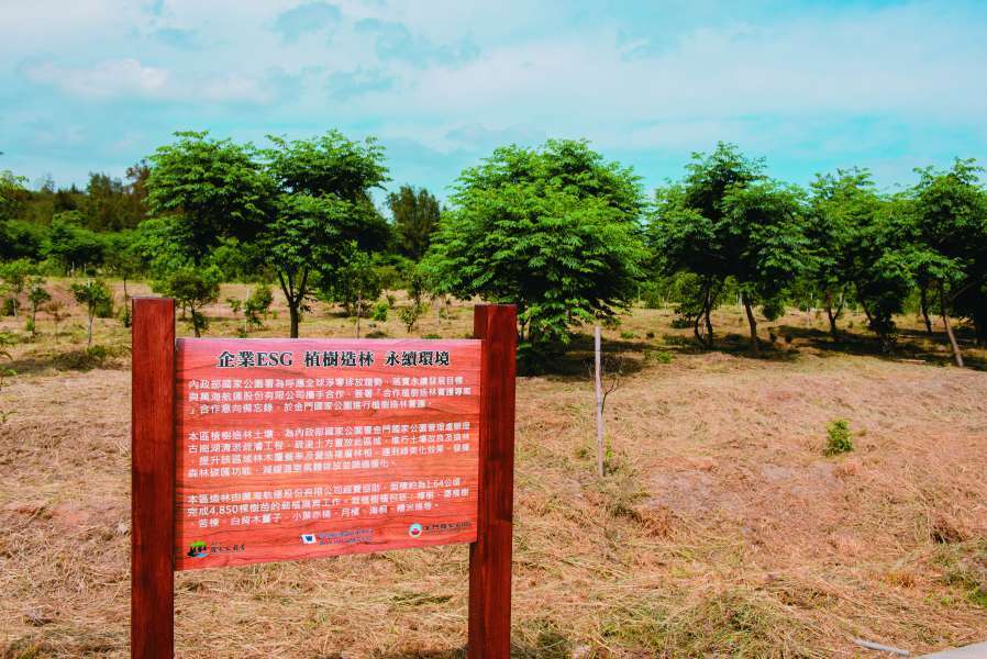 翟山造林地現況