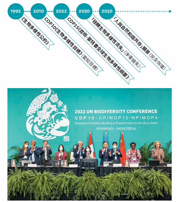 聯合國第15屆生物多樣性大會(COP15)