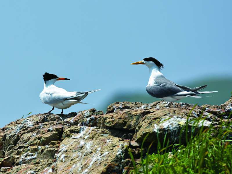 峽谷山徑二十里：內太魯閣警備道路