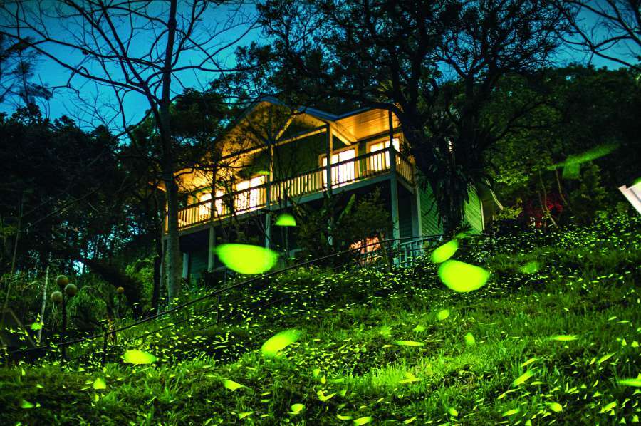 2024年糖業文化路徑再現臺東糖廠廠農運動會