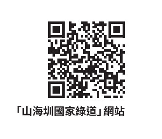 黃裳鳳蝶在馬鞍藤花中覓食