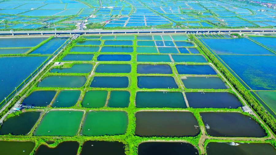 台江國家公園範圍內的魚塭，不只能成為友善棲地，更是民眾認識養殖漁業的一扇窗／台管處提供