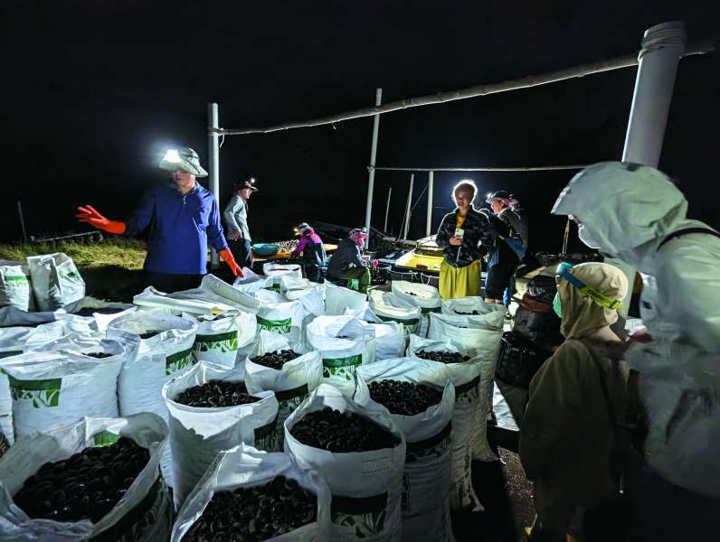 漁民為參訪民眾說明漁獲收成的流程