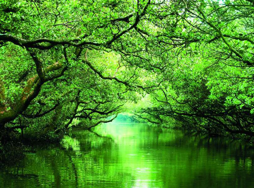 峽谷山徑二十里：內太魯閣警備道路