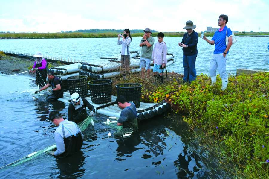 天微亮參訪收成現場／林筱菁提供