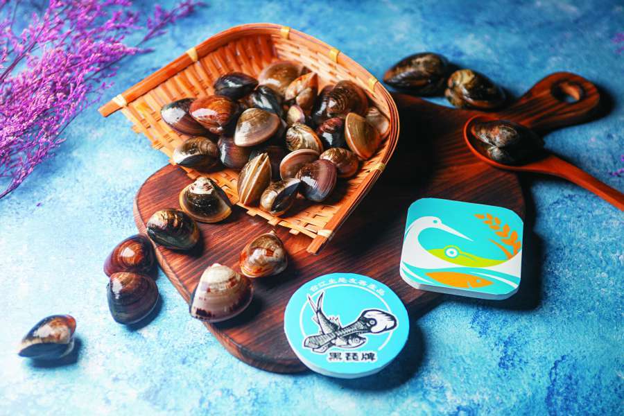 黑面琵鷺在魚塭中活動