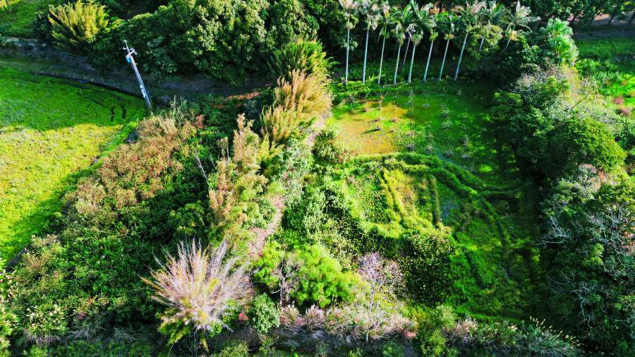曾以復育臺灣萍蓬草為目標在桃園龍潭打造生態池，可惜地主賣地後現已荒蕪