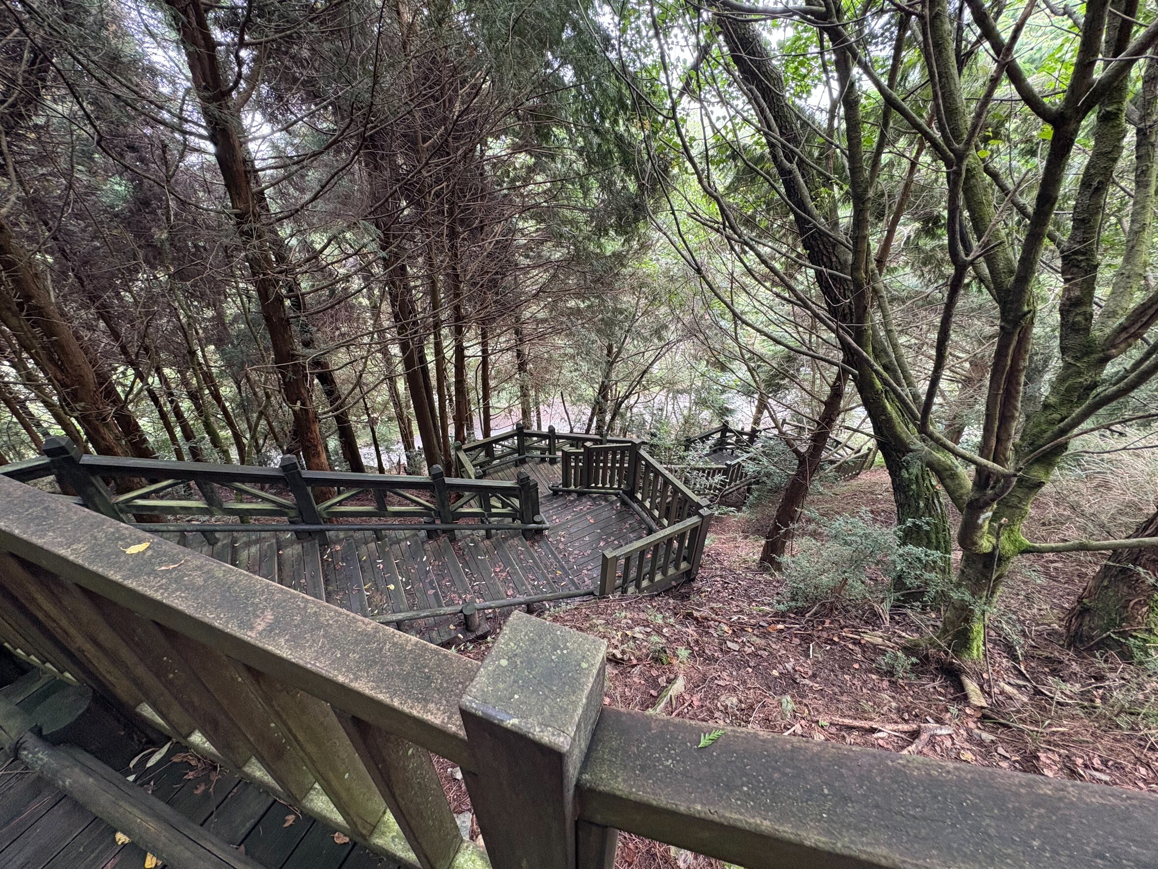 雲霧步道第四期整修工程護欄現況