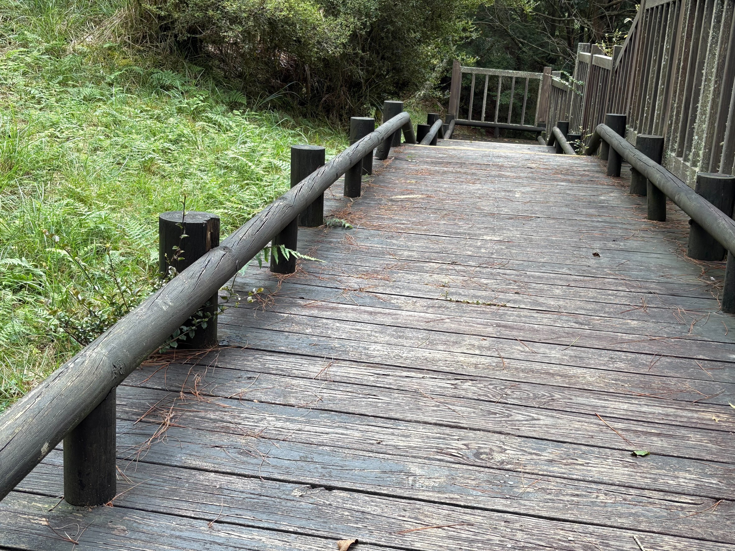 alt-03雲霧步道第四期整修工程木樁鋪面現況