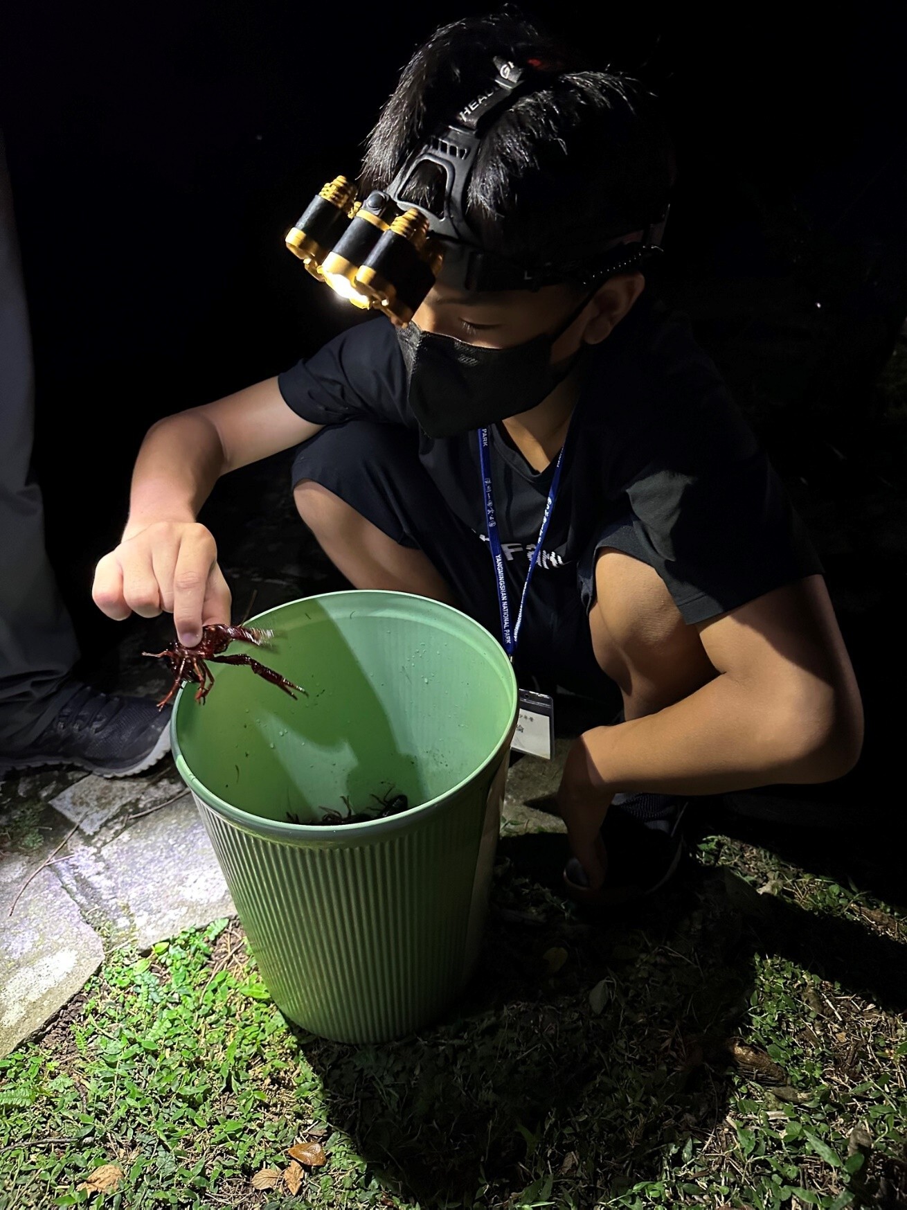 夜晚邀請大家擔公民科學家，比賽釣起外來種美國螯蝦/陽管處提供