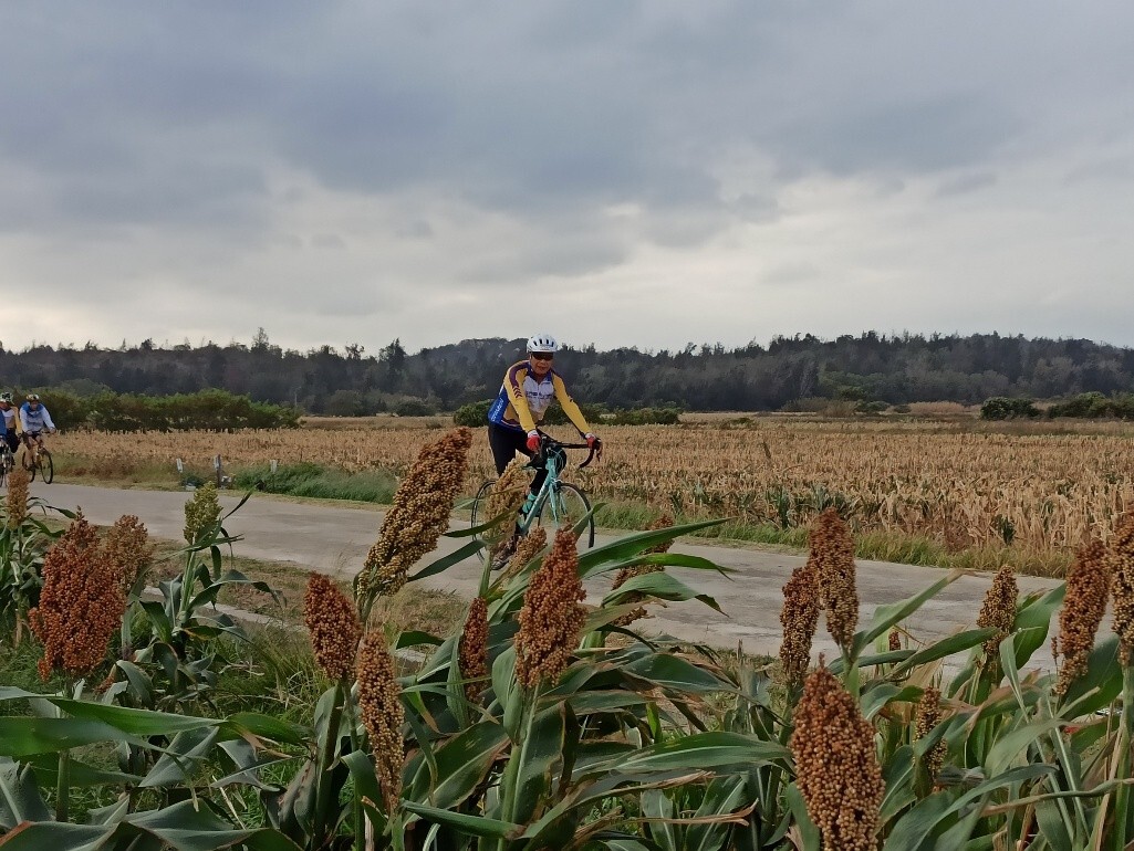 騎行自行車在金門漫遊，是深入體驗島嶼風光的最佳選擇/金管處提供