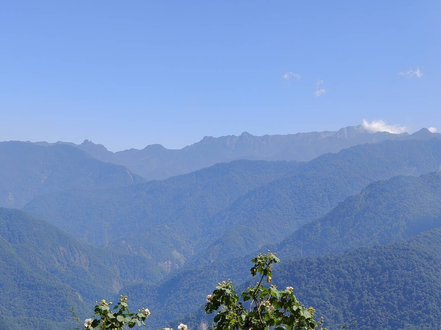 圖2、無障礙步道終點處，視野開闊，可以遠眺「聖稜線」、「大雪線」兩條壯麗稜線，令人心曠神怡。