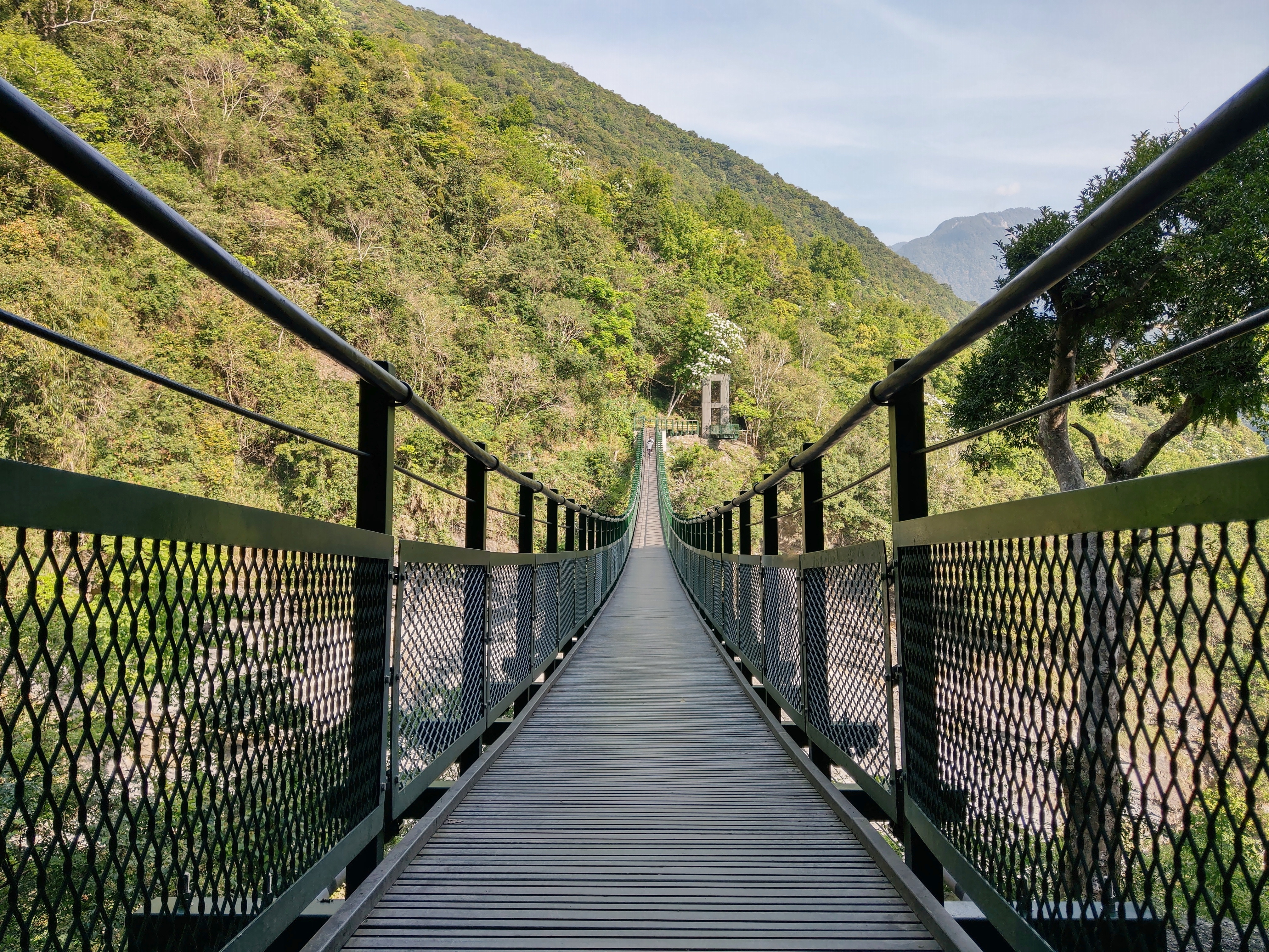 玉山國家公園-瓦拉米步道山風1號吊橋