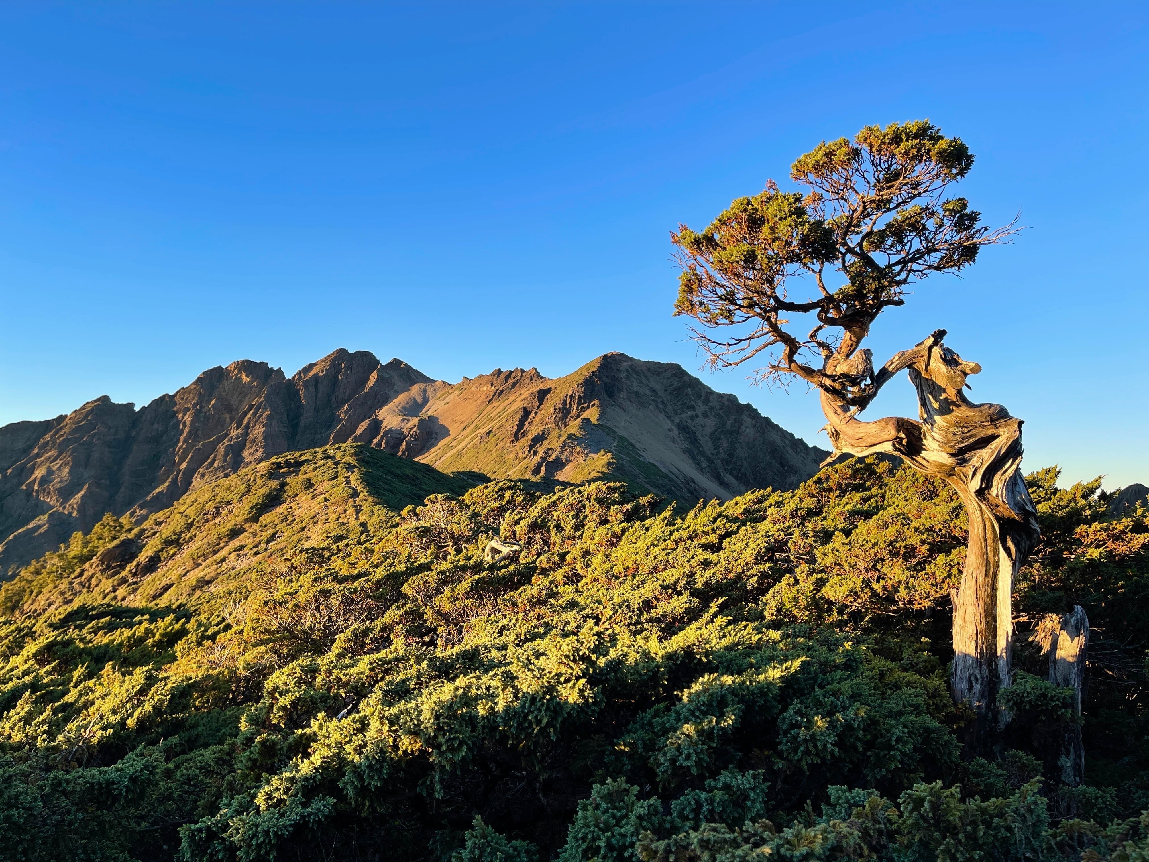 alt-玉山後四峰之鹿山—體能與毅力的試煉-1
