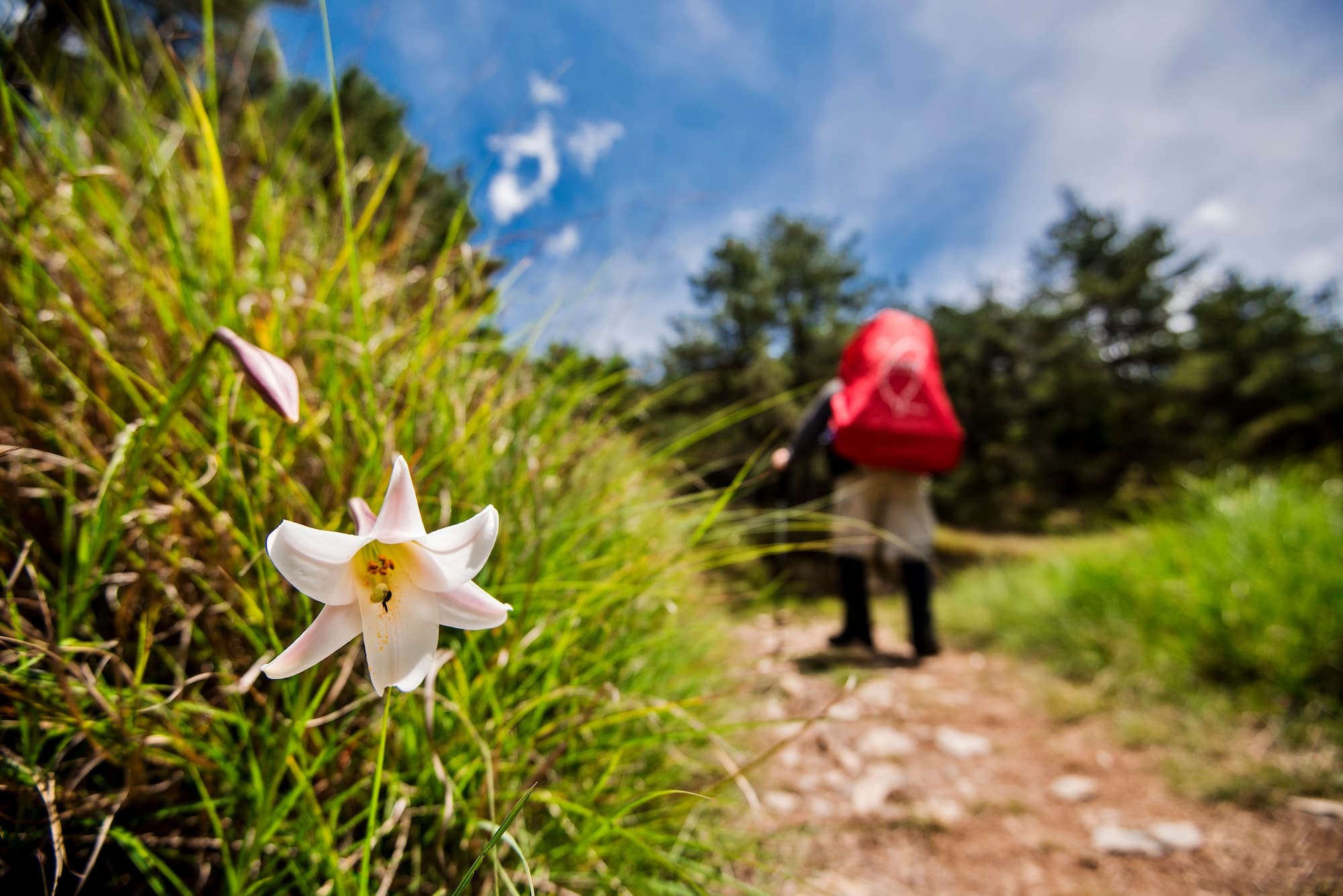 alt-走進雪霸國家公園，認識喀拉業山與小劍山-1