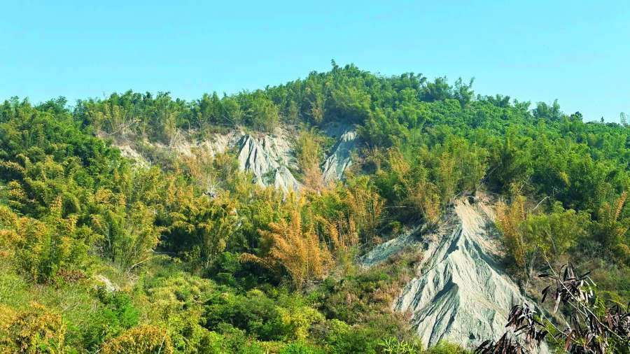 馬頭山為惡地侵蝕地形，地貌裸露破碎，植被難以附著／自管處 提供
