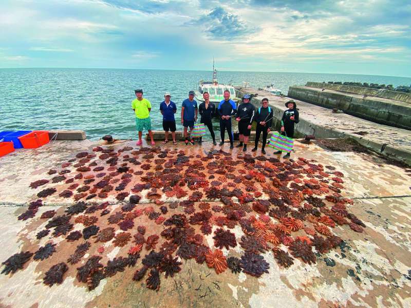 要撲滅如森林大火般的棘冠海星災害，需要更多有志之士眾志成城／海管處 提供