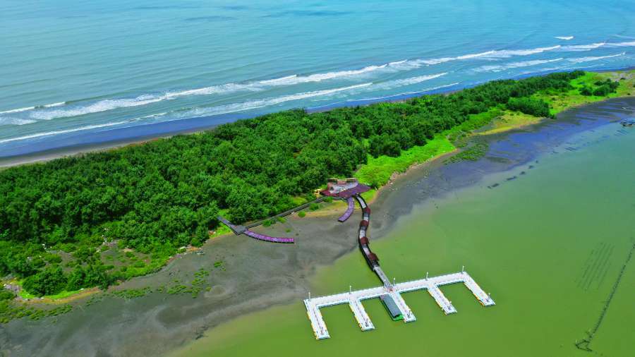 臺南七股網仔寮汕